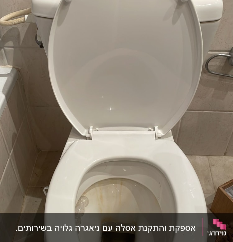 אסלה עם כתמי חלודה ומים עומדים